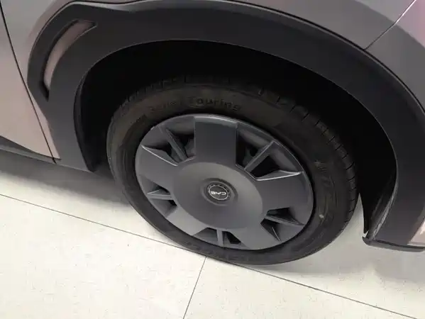 BYD Seagull 2024