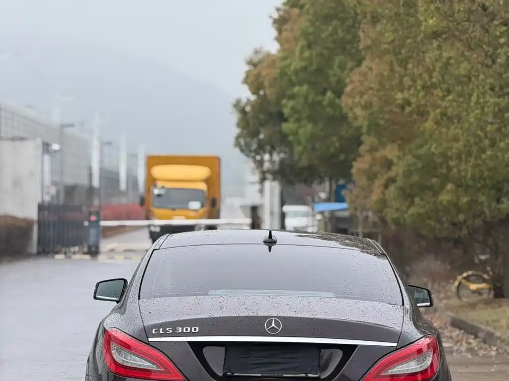 Mercedes-Benz CLS 2013 — фото 4