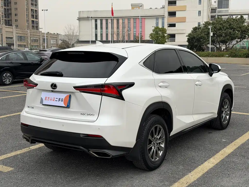 Lexus NX 2019 — фото 8