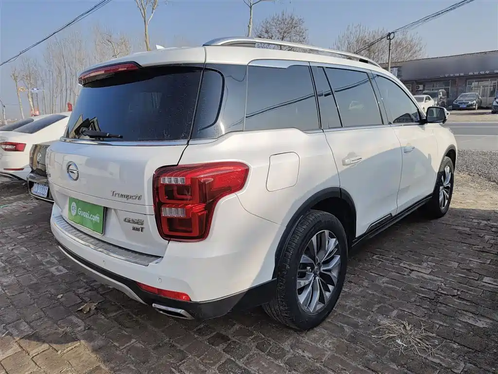 GAC Motor Trumpchi GS8 2019 — фото 7