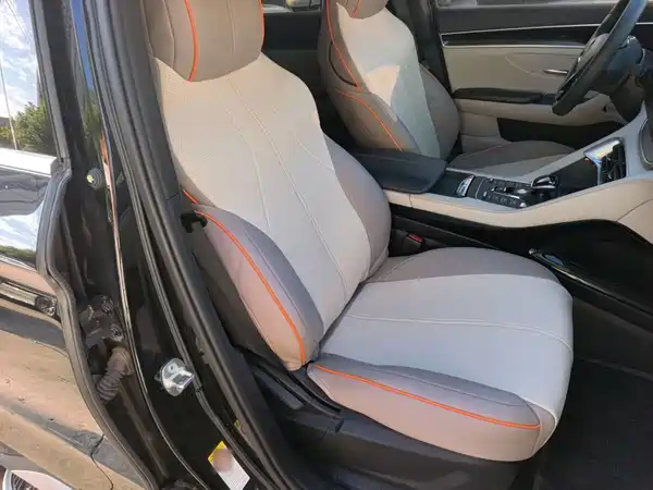 BYD Song PLUS New Energy 2022