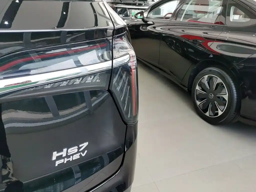 Hongqi HS7 PHEV 2024 — фото 8