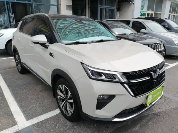 Wuling Star 2021