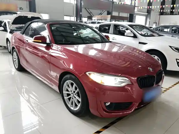 BMW 2 Series 2016