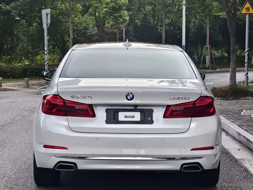 BMW 5 Series 2019