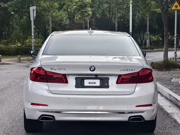 BMW 5 Series 2019