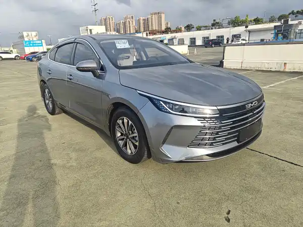 BYD Destroyer 05 2024