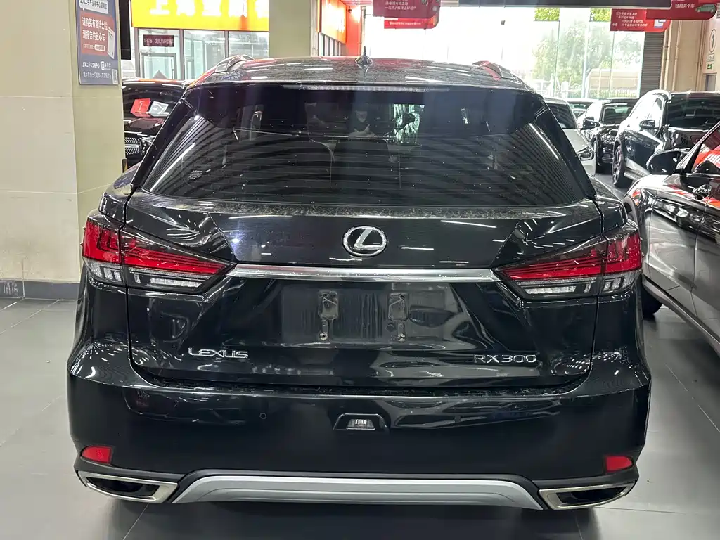Lexus RX 2021 — фото 11