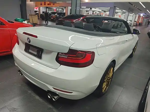 BMW 2 Series 2016