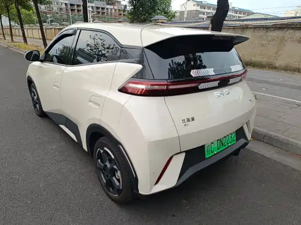 BYD Seagull 2024