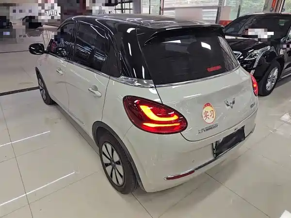 Wuling Bingo 2024