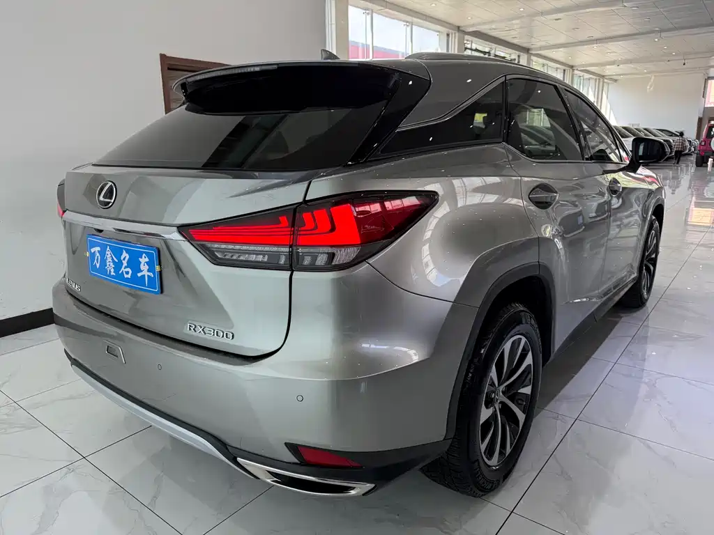 Lexus RX 2021 — фото 19