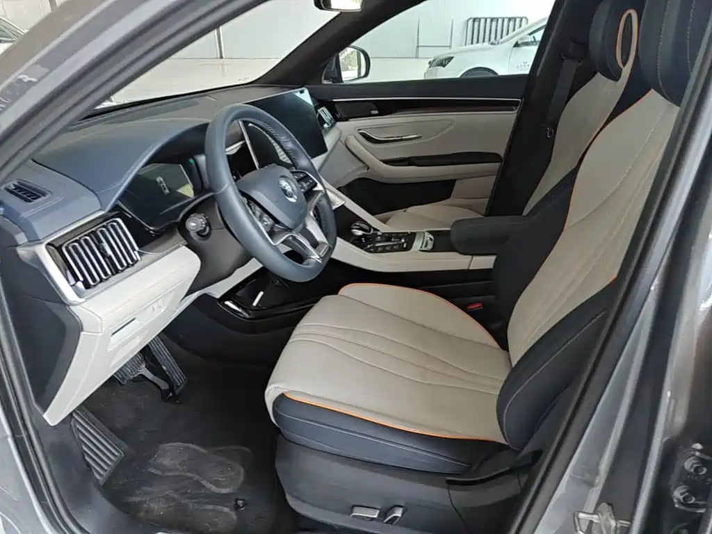 BYD PLUS New Energy 2022 — фото 11
