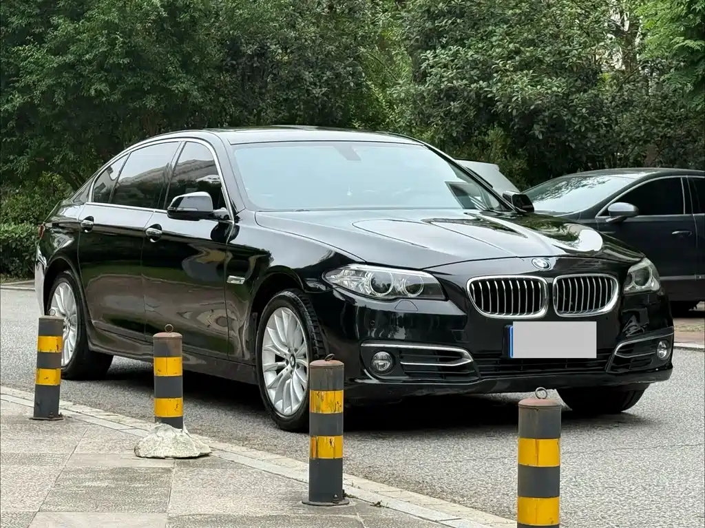 BMW 5 Series 2014