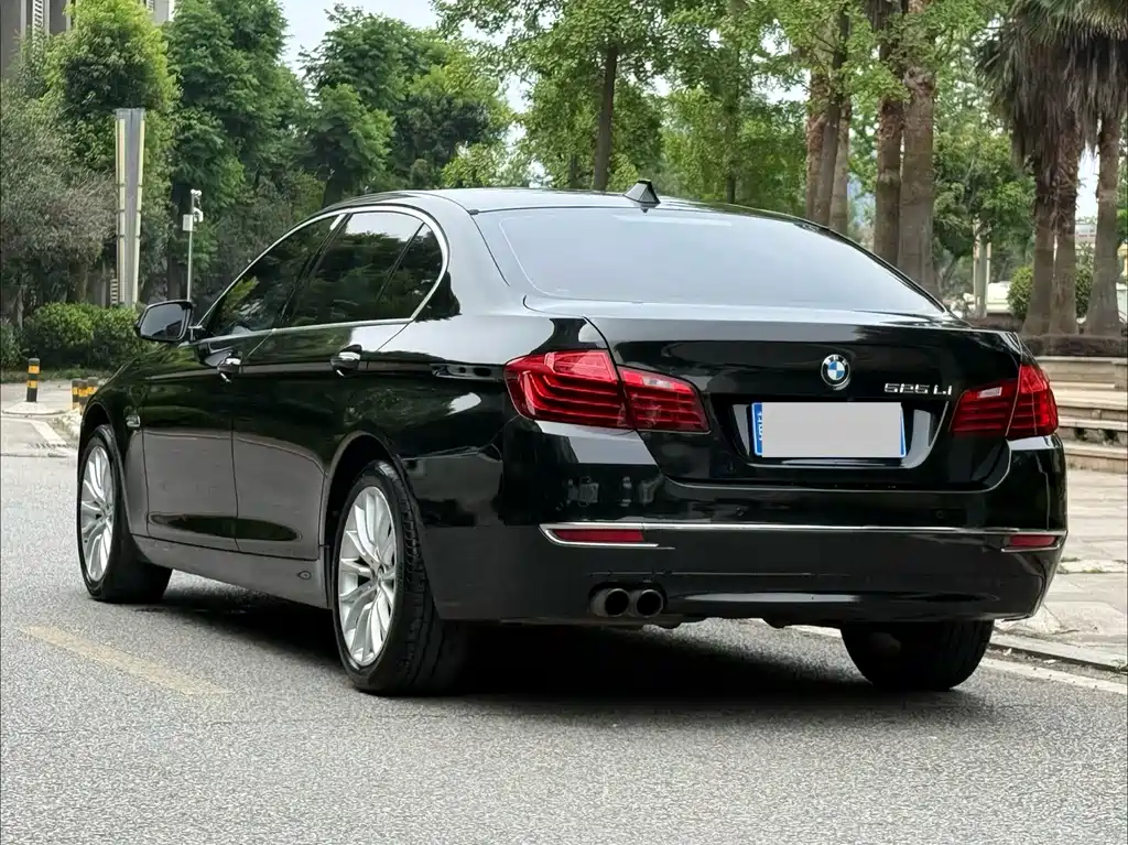 BMW 5 Series 2014