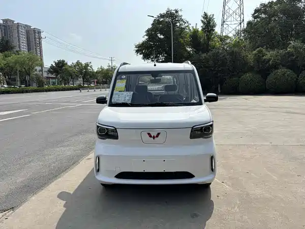 Wuling Zhiguang New Energy 2026