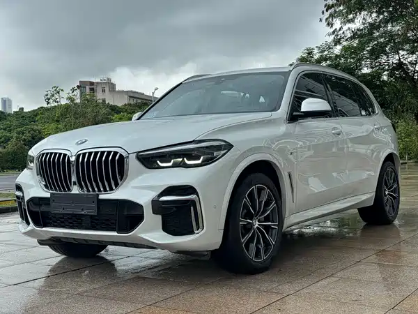 BMW X5 2022