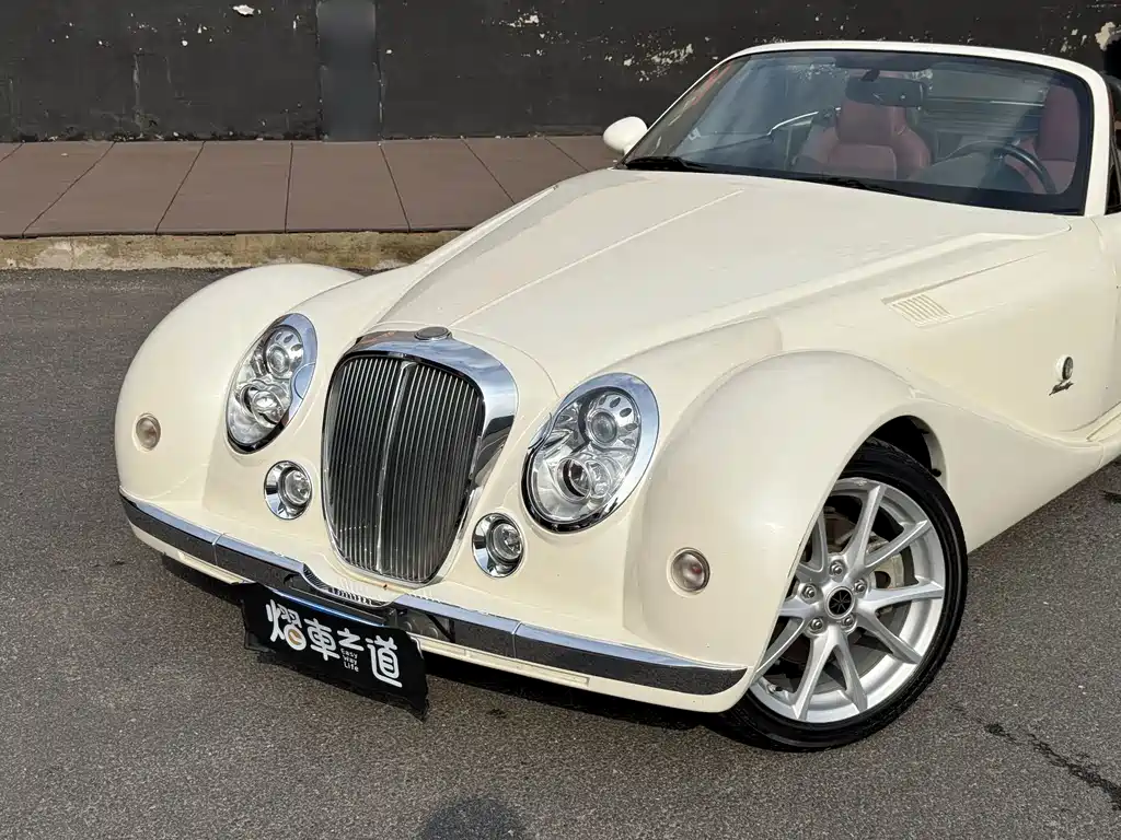 Mitsuoka Queen 2012 — фото 18