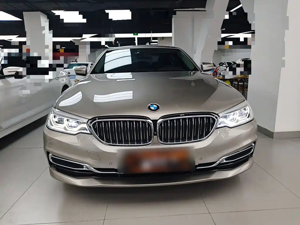 BMW 5 Series New Energy 2020