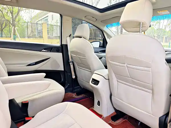 Buick GL6 2018