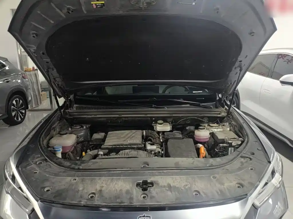 BYD Pro New Energy 2023 — фото 20