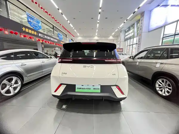 BYD Seagull 2024
