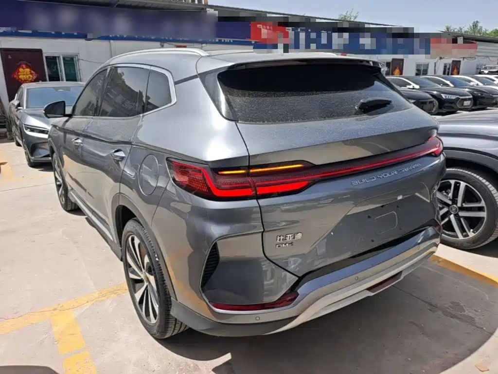 BYD Song PLUS New Energy 2024 — фото 23