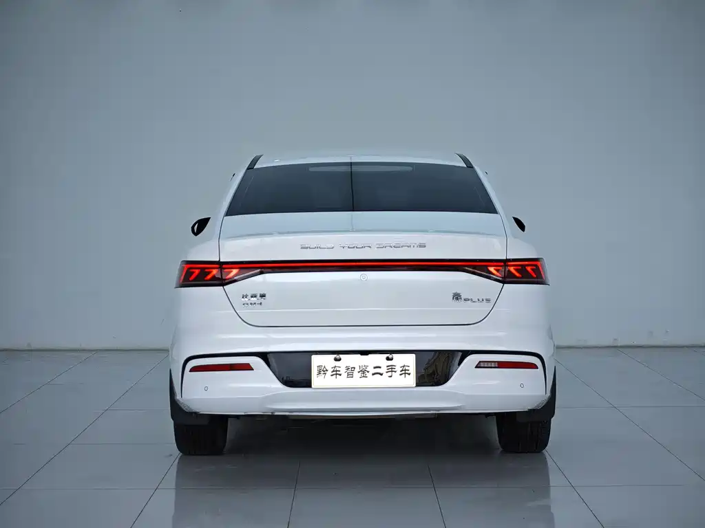 BYD Qin PLUS 2023 — фото 4