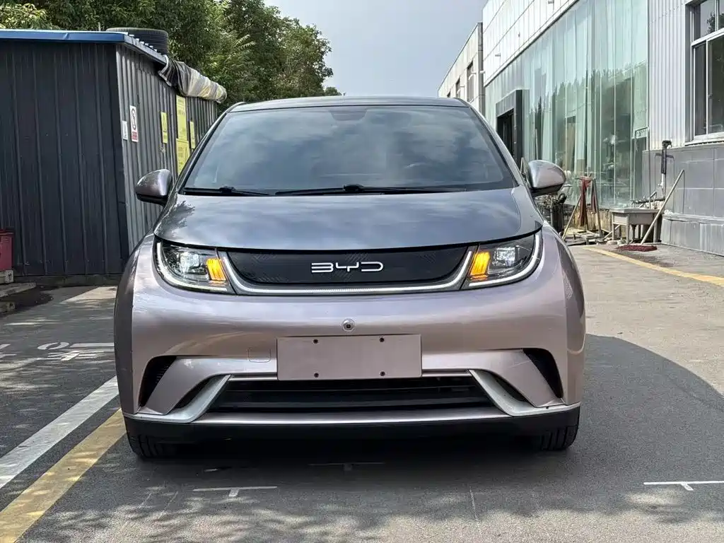 BYD Dolphin 2022