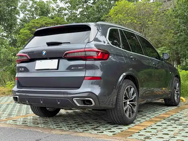 BMW X5 2021