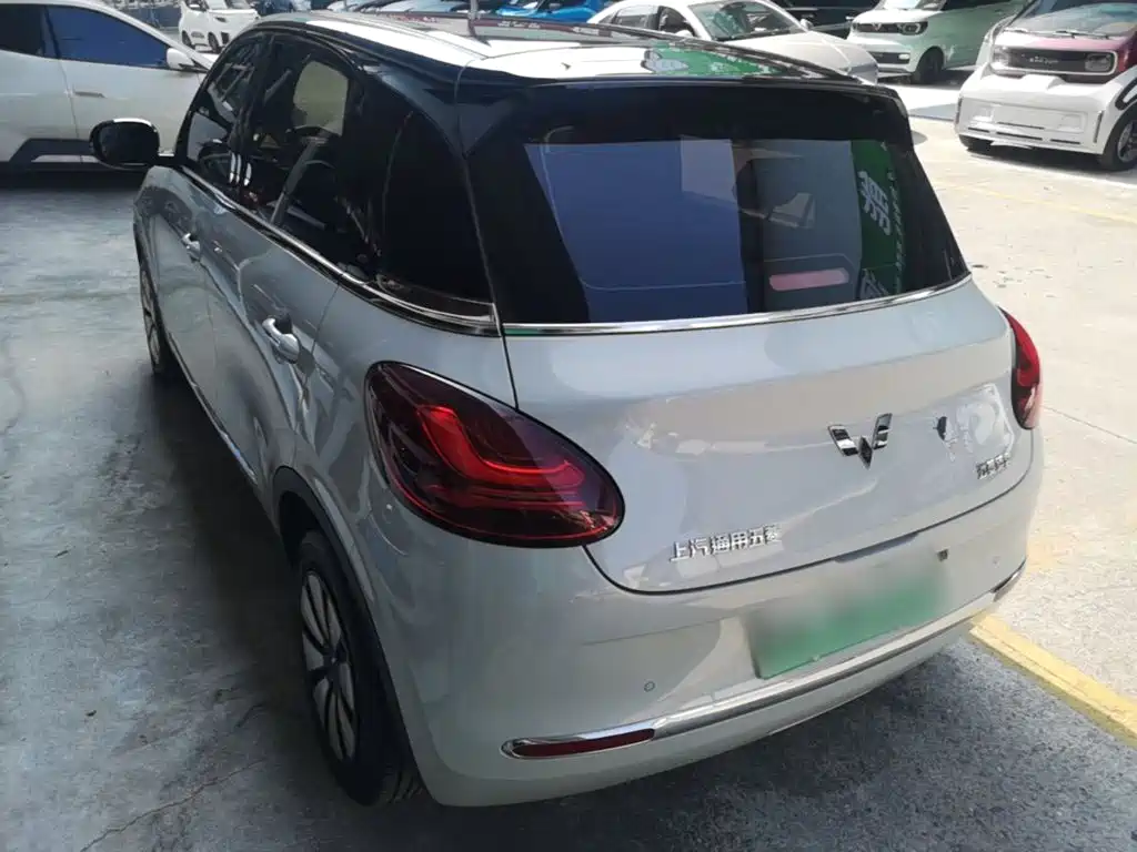 Wuling Bingo 2024