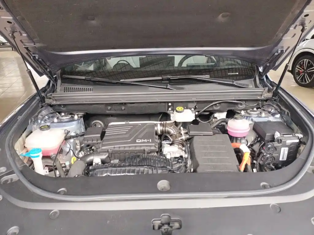 BYD Song Pro New Energy 2024 — фото 16