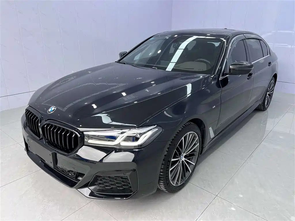BMW 5 Series 2019 — фото 1