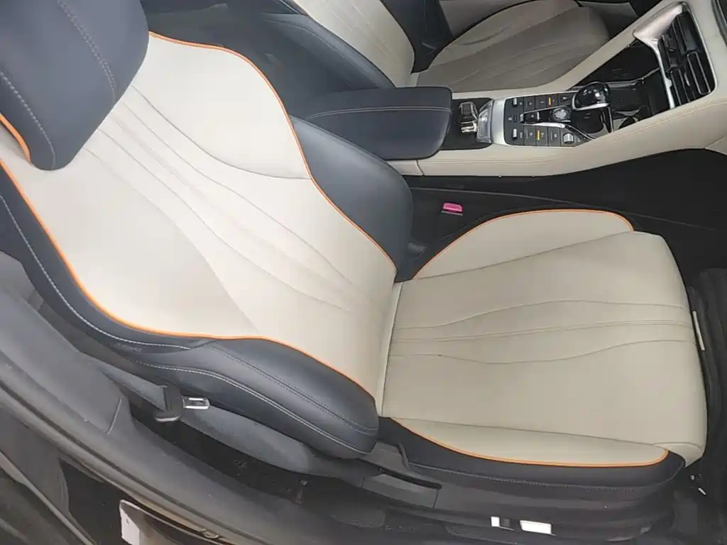 BYD Song PLUS New Energy 2022 — фото 25