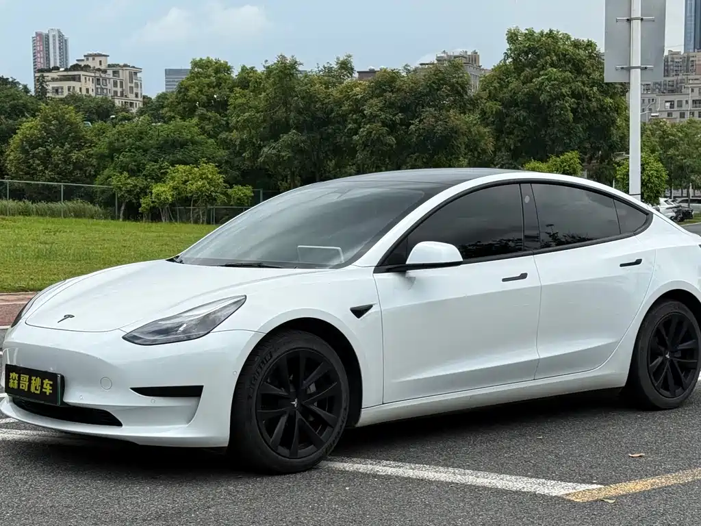 Tesla Model 3 2021 — фото 1