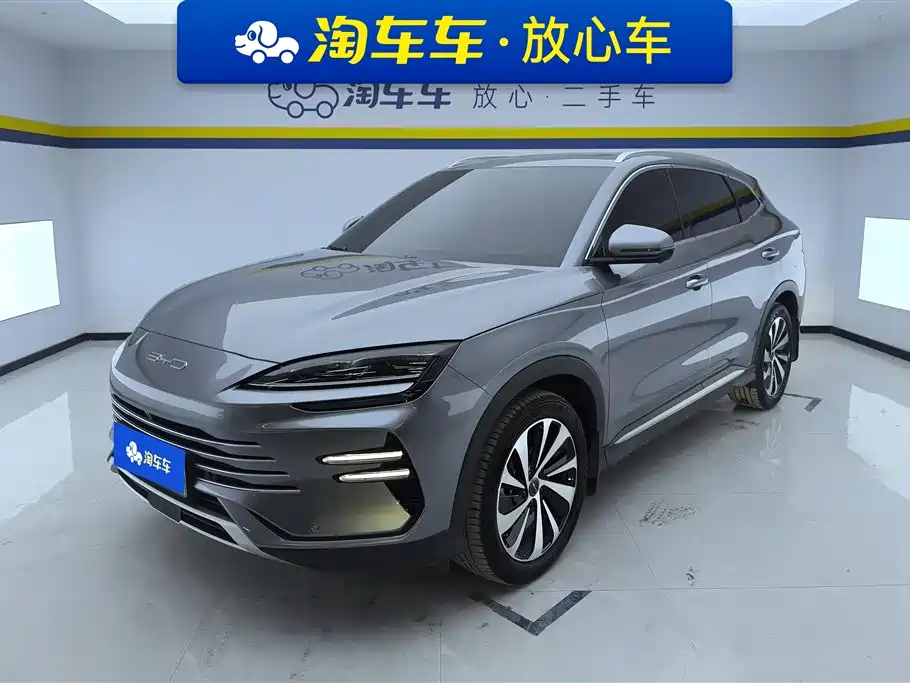 BYD PLUS New Energy 2024 — фото 1