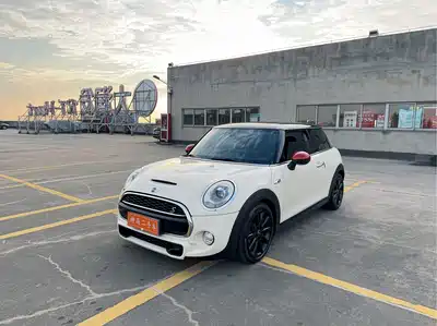 MINI MINI 2014