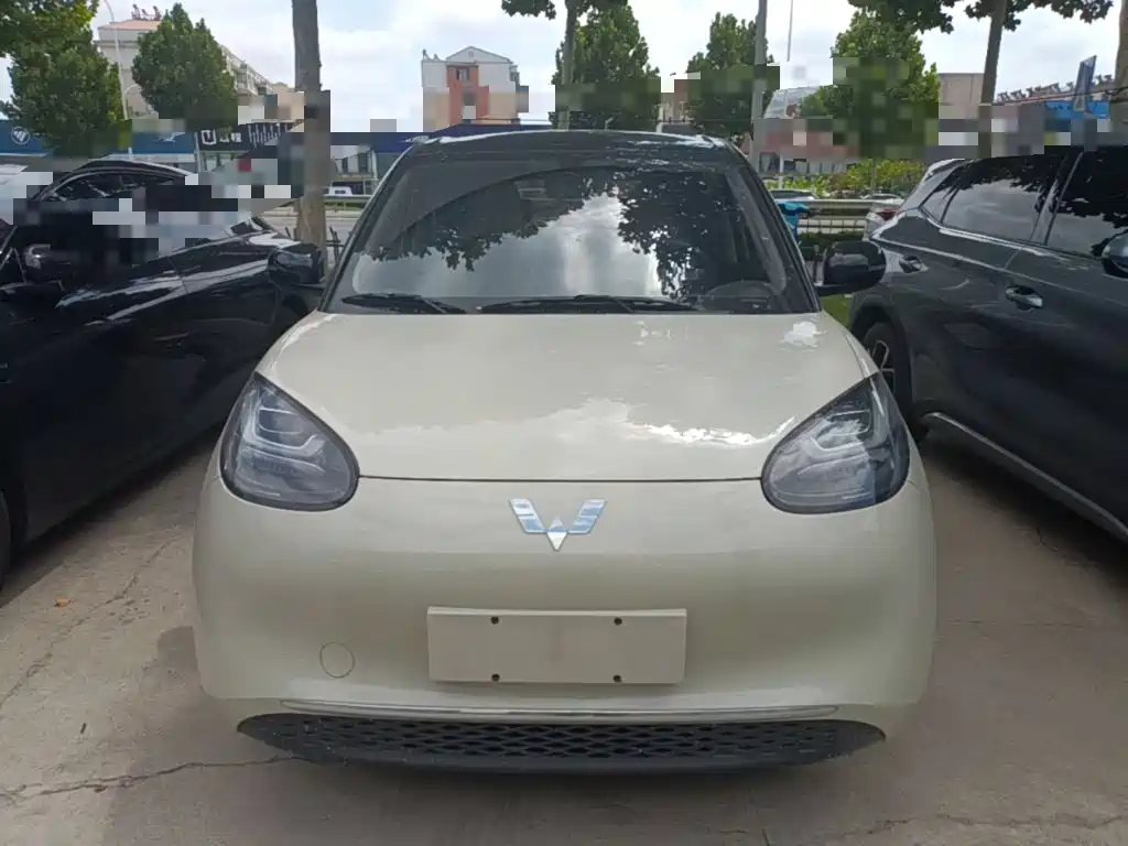 Wuling Bingo 2024