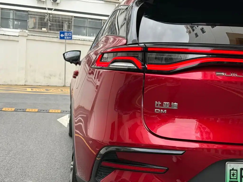 BYD Tang New Energy 2021 — фото 30