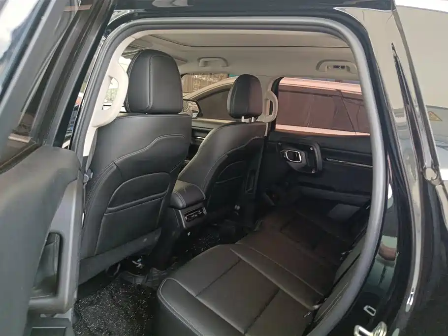 Haval Dargo PLUS EV 2023 — фото 10