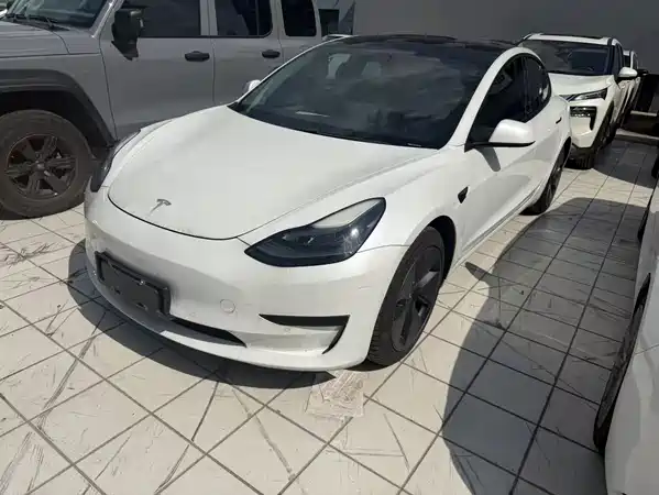 Tesla Model 3 2021