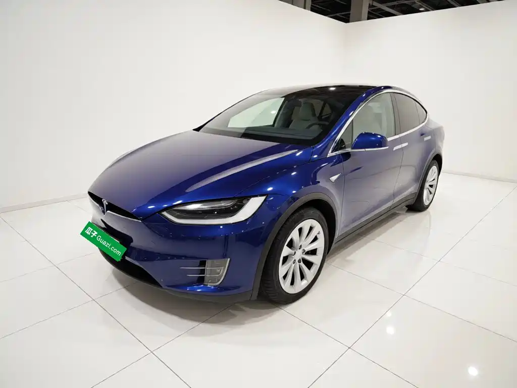 Tesla Model X 2019