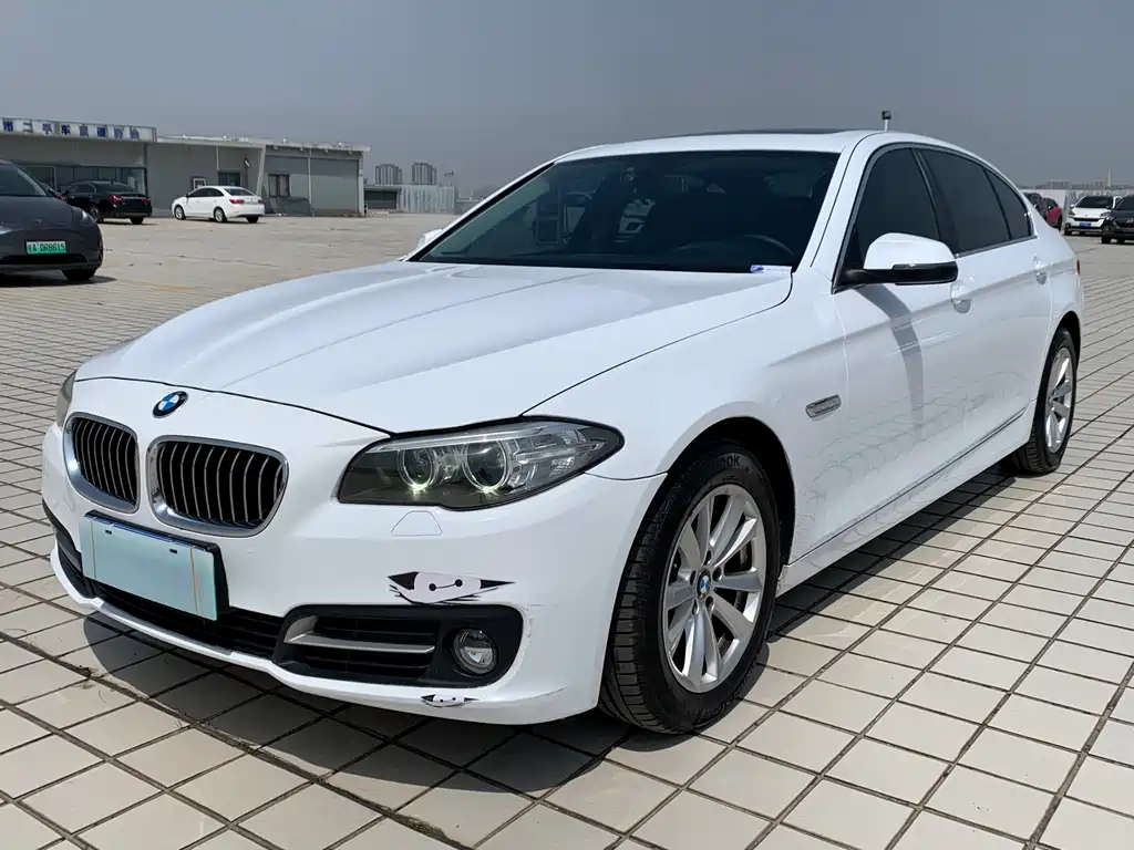 BMW 5 Series 2014 — фото 1