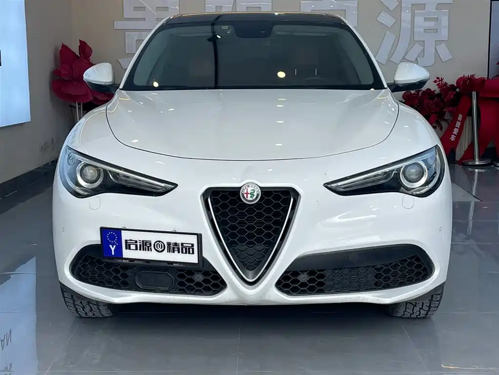 Alfa Romeo Stelvio 2019 — фото 2