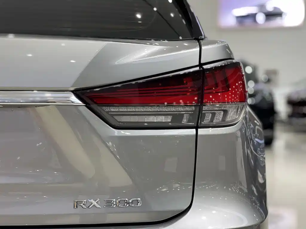 Lexus RX 2020 — фото 16