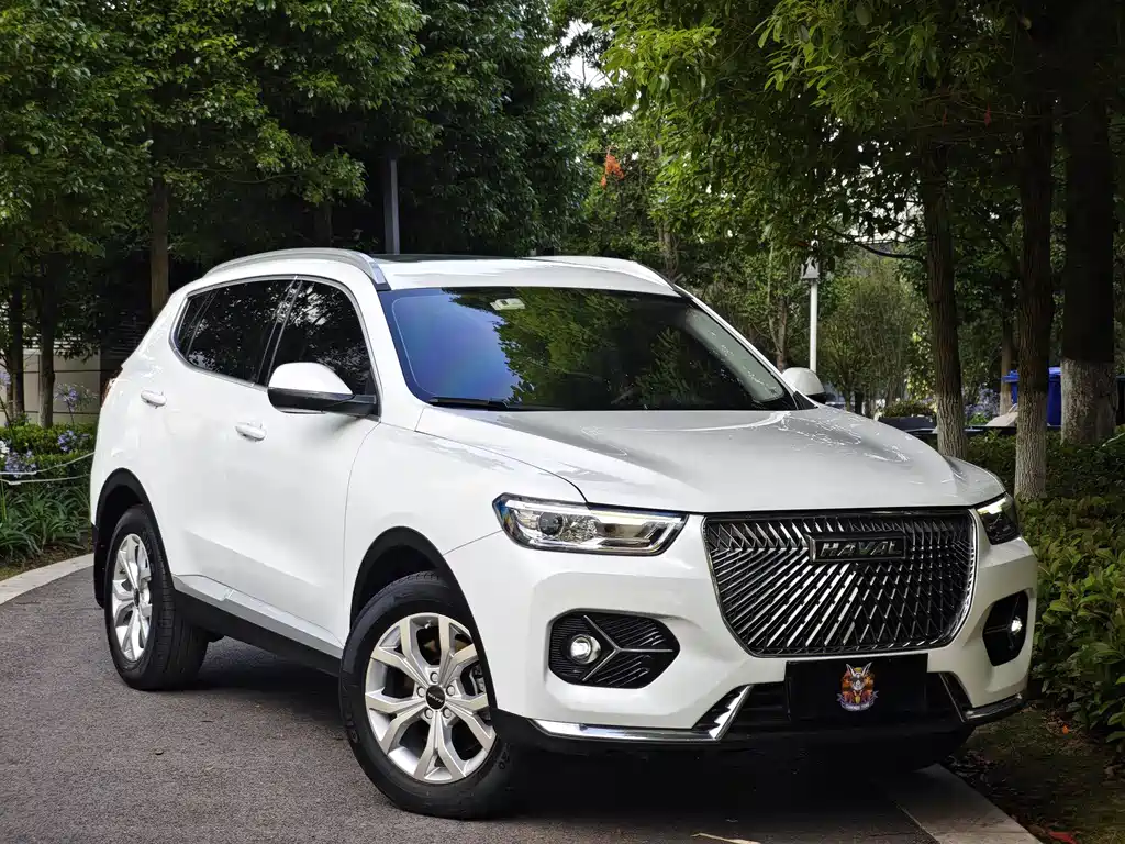 Haval H6 2020 — фото 3