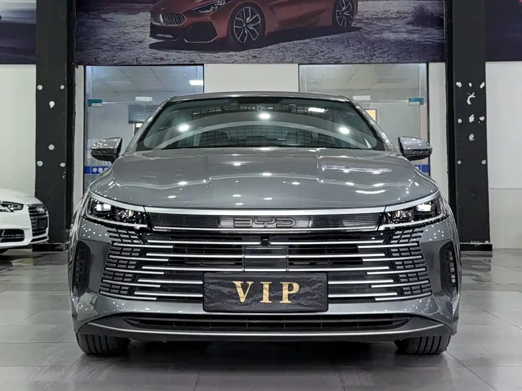 BYD Destroyer 05 2024 — фото 2