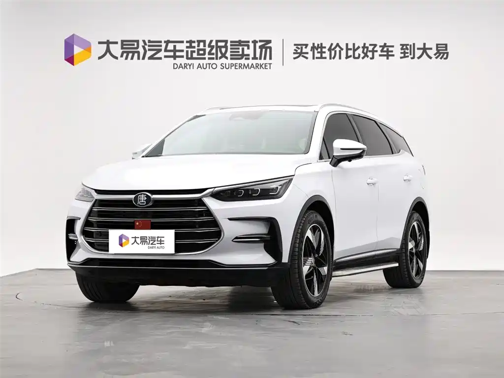 BYD Tang New Energy 2023 — фото 1