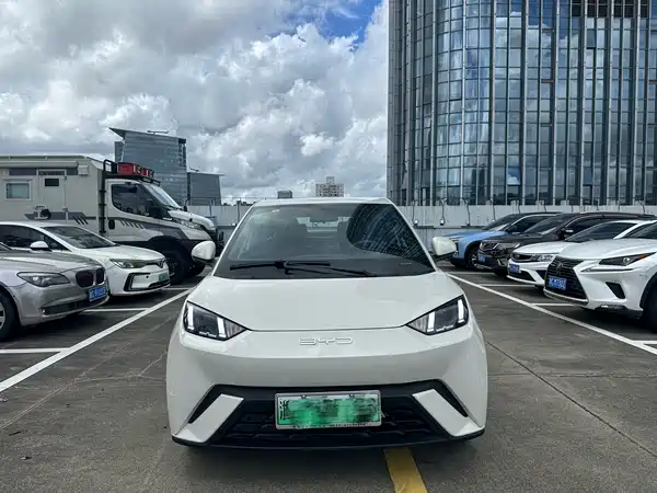 BYD Seagull 2024
