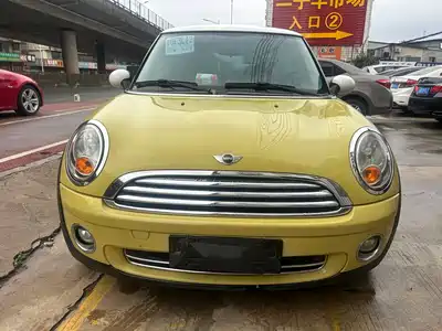 MINI MINI 2010